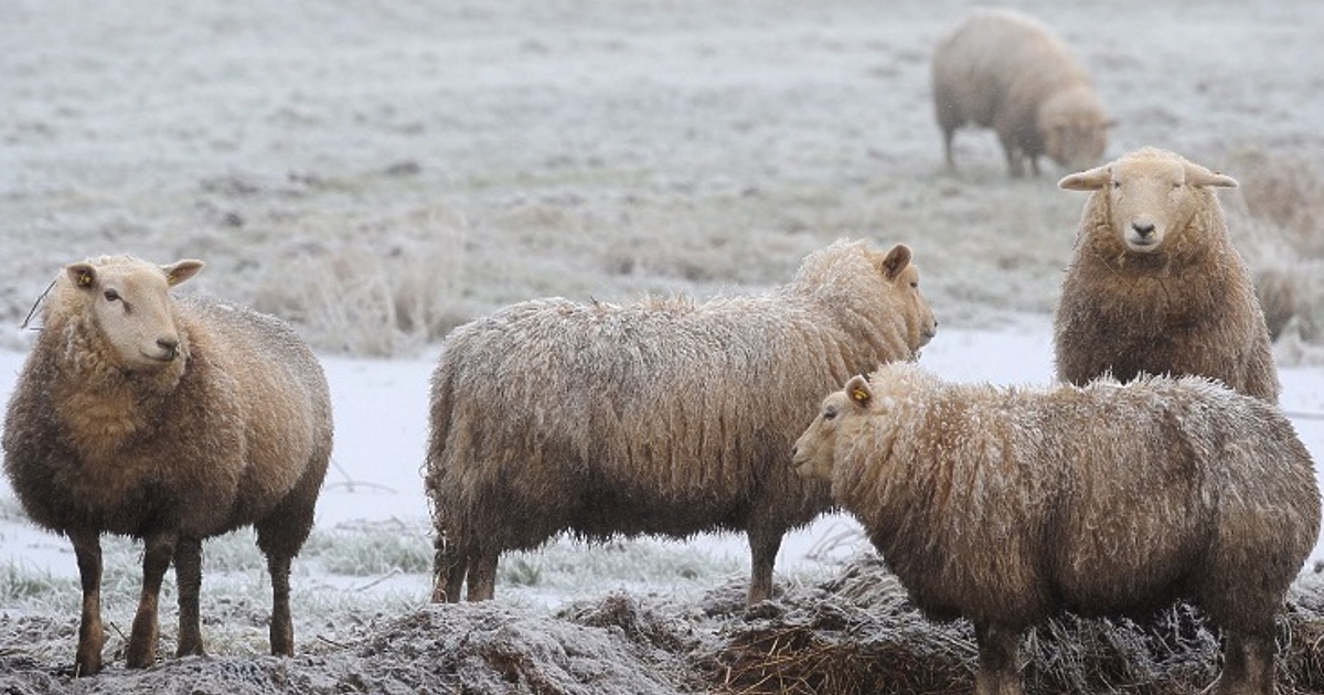 Хората от сливенското село Крушаре обявиха, че няма да допуснат