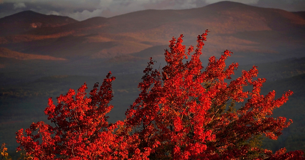 Призори на студентския празник ще вали в източните райони на