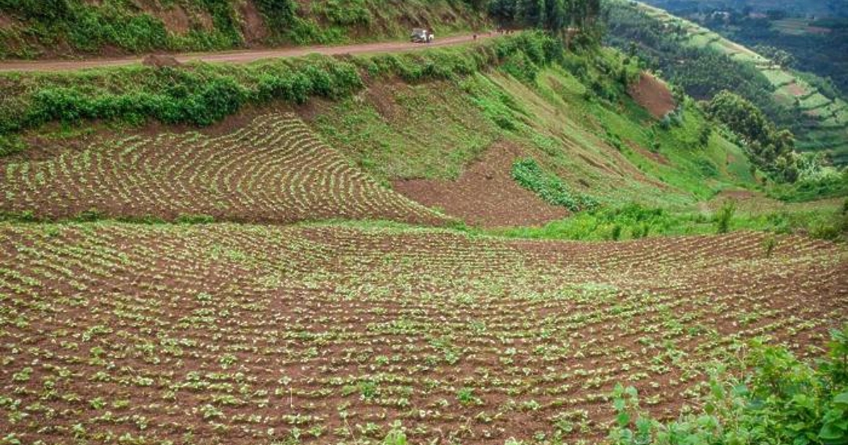 Наш бизнесмен се опитал да представи китайски селскостопански машини за