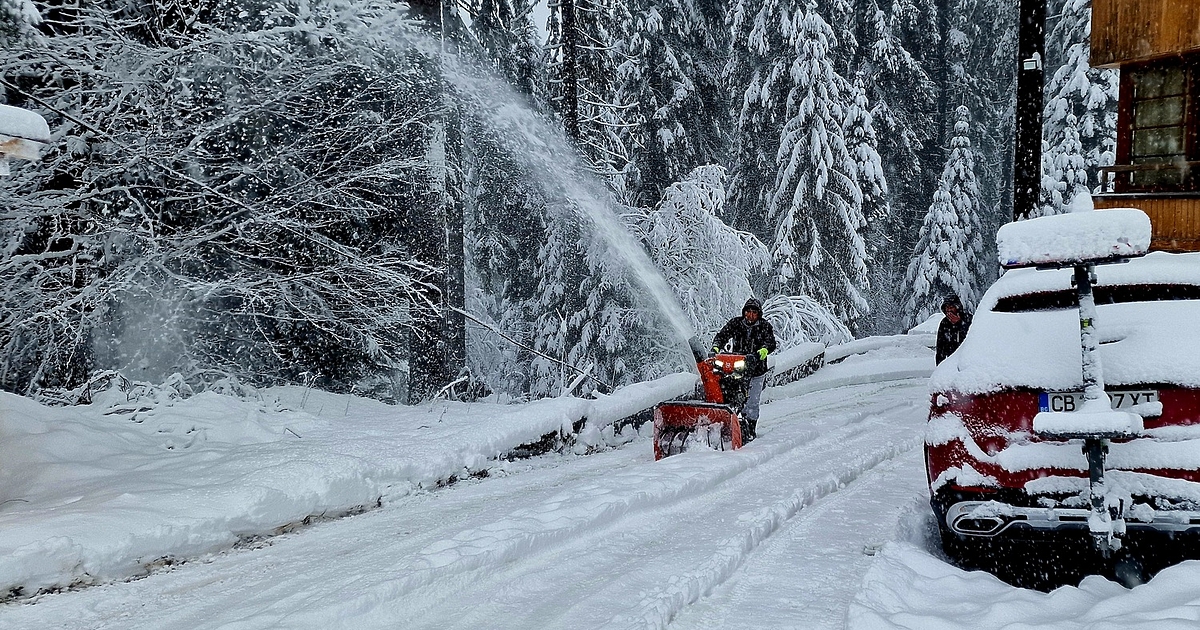Държавата за пореден път абдикира от ролята си, а управляващите