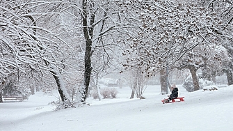 Сенсеят на Кирил Петков проговори Каква е неговата версия Сняг сняг