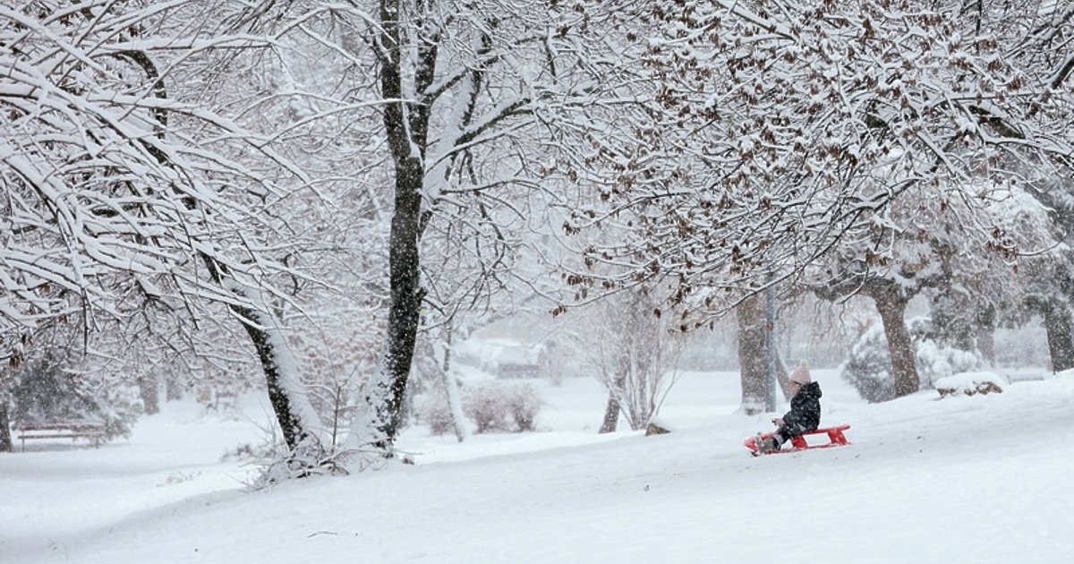 Сенсеят на Кирил Петков проговори. Каква е неговата версия?Сняг, сняг