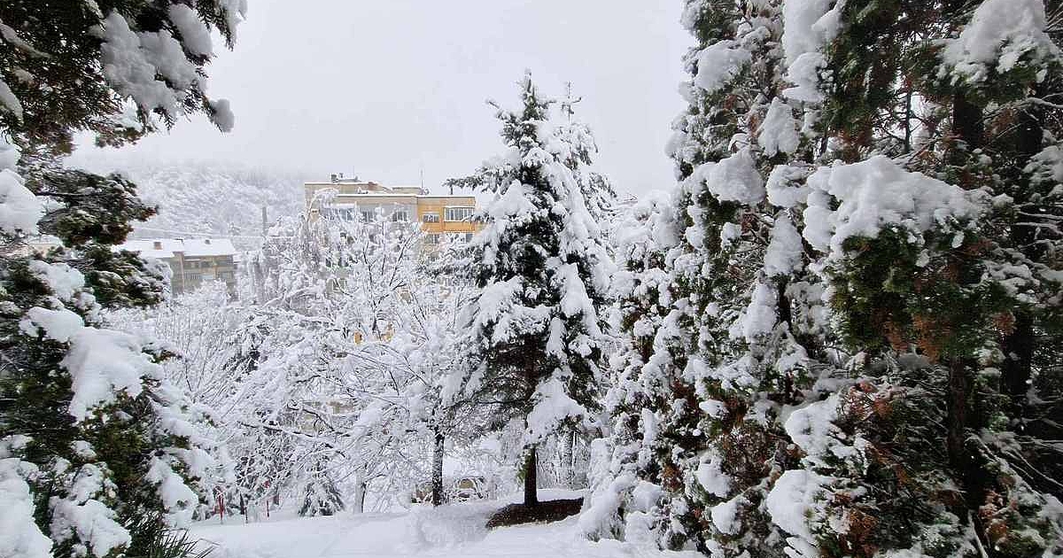 Над 200 места в България са без ток заради лошото