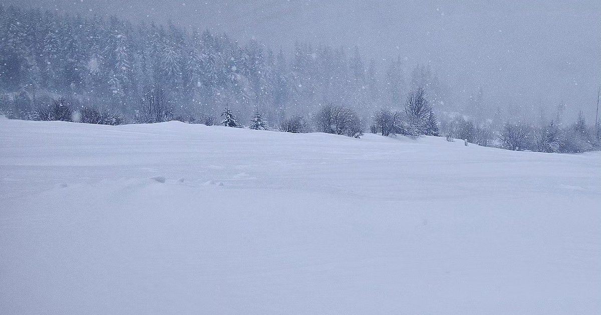 Руска ракета е причина за катастрофата на пътническия самолет на