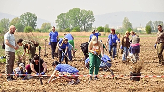 Столичната община обяви датата за начало на пролетно залесяване в