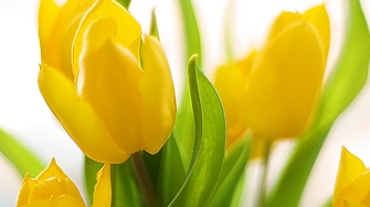 От днес започва дълъг период на слънчево и много топло