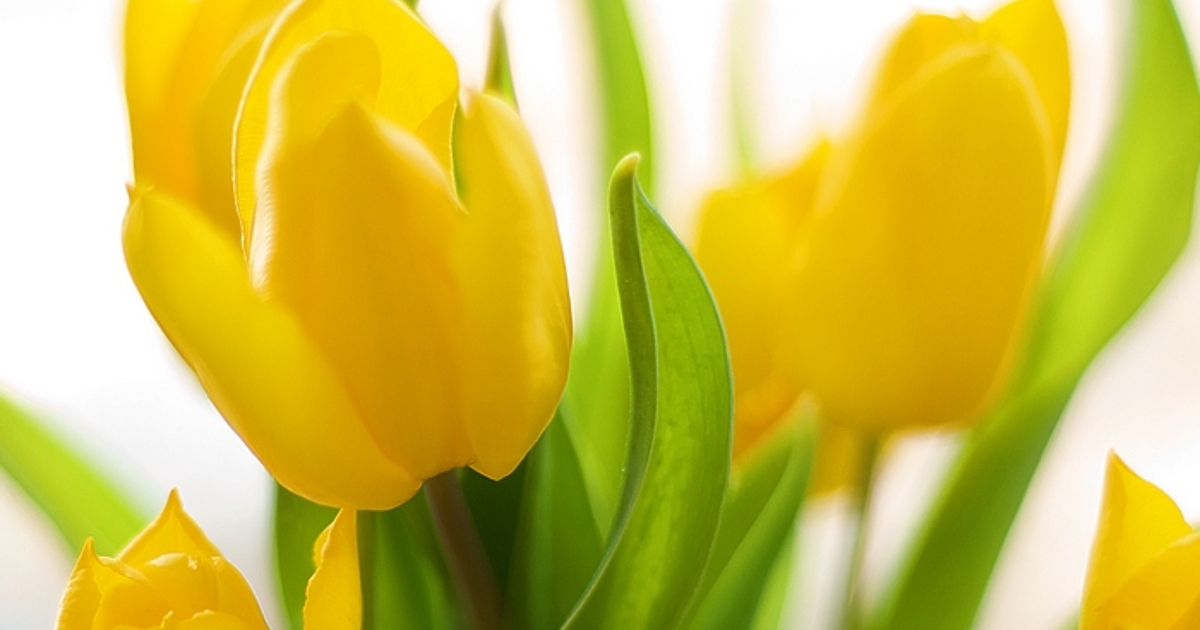 От днес започва дълъг период на слънчево и много топло