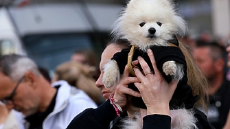 Министерството на правосъдието предлага промяна в Наказателния кодекс чл 325б
