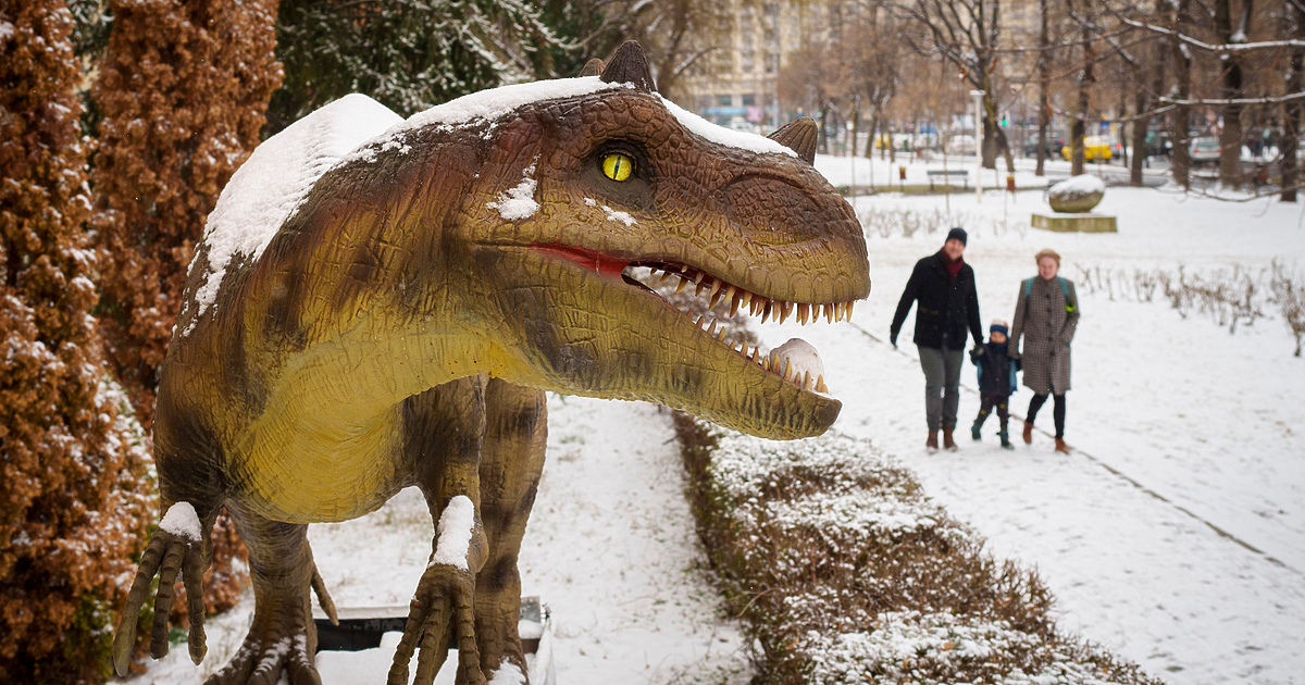 Румънските власти обявиха за персона нон грата на територията на