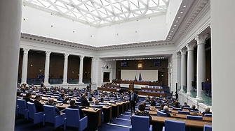 Парламентът изслуша вещи лица назначени и участващи по конституционно дело