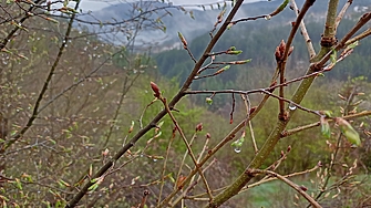 През нощта валежите навсякъде ще спрат и облачността ще намалее