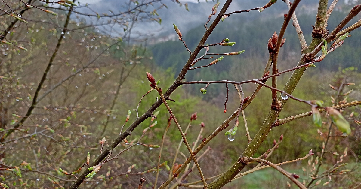 През нощта валежите навсякъде ще спрат и облачността ще намалее