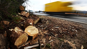 Още едно дърво падна върху бус на бул Цариградско шосе