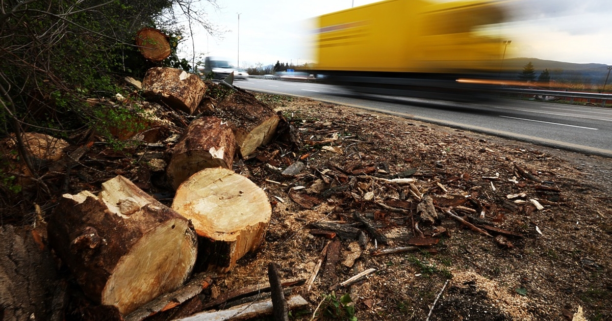 Още едно дърво падна върху бус на бул. Цариградско шосе