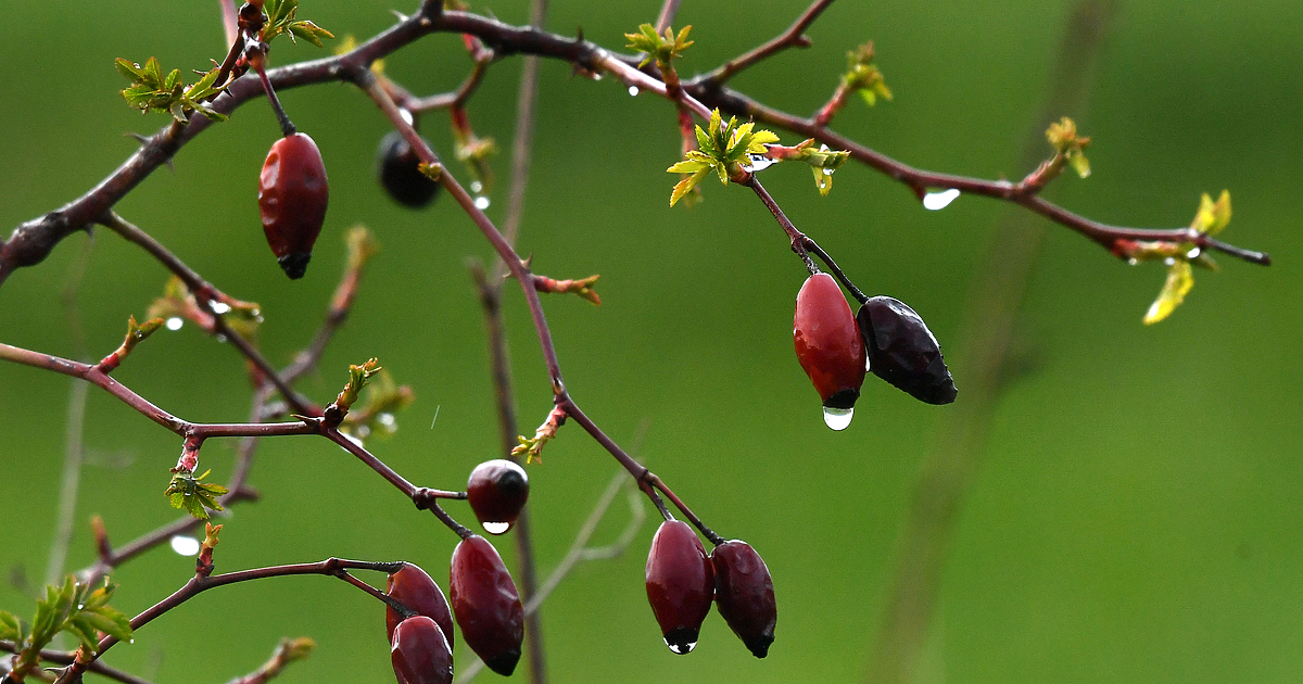 Предупредихме за този студен фронт, който мина снощи и направи