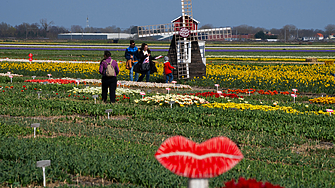 Докато у нас трупа сняг хиляди хора дойдоха край Амстердам