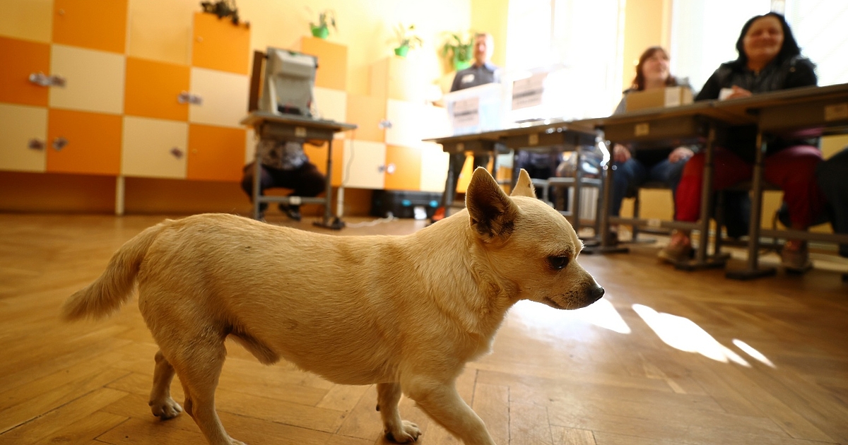 Почти два месеца след безпрецедентното частично касиране на последните парламентарни