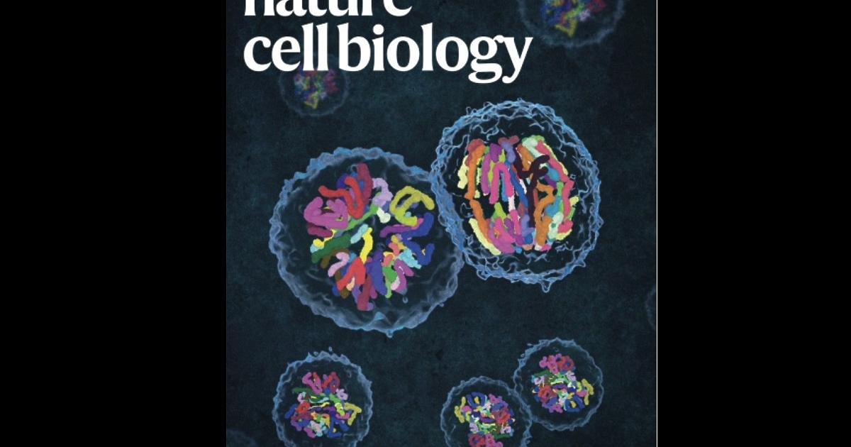 Млади изследователи постигнаха впечатляващо научно откритие в областта на клетъчната