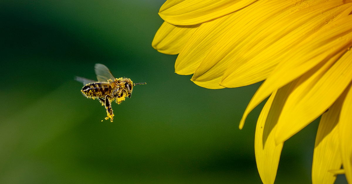 През първата половина на нощта над по-голямата част от страната