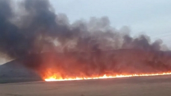 Почти цялата площ на защитената местност Алдомировското блато е засегната