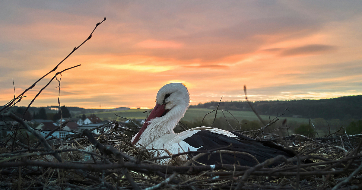 Четвъртък е денят без валежи тази седмица. Ще е слънчево предиобед,