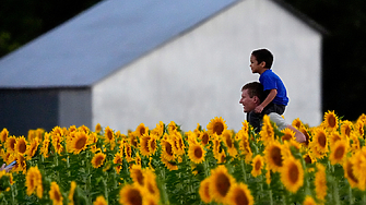 За пореден път в България тече яростна мобилизация за осуетяване