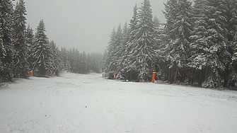 Снаг заваля във високата част на Родопите Снежинки на парцали