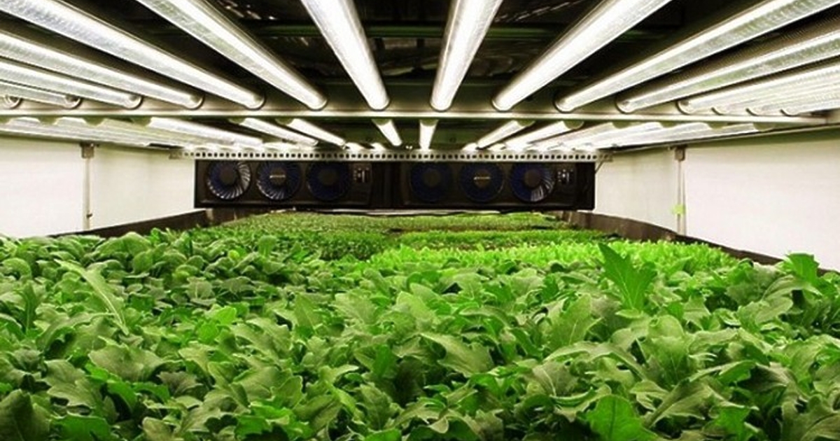 Страните членки (Съветът) на ЕС приеха регламент, с който се