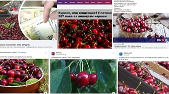 Както всяка година хиляди споделяния коментари смешни мемета и публикации