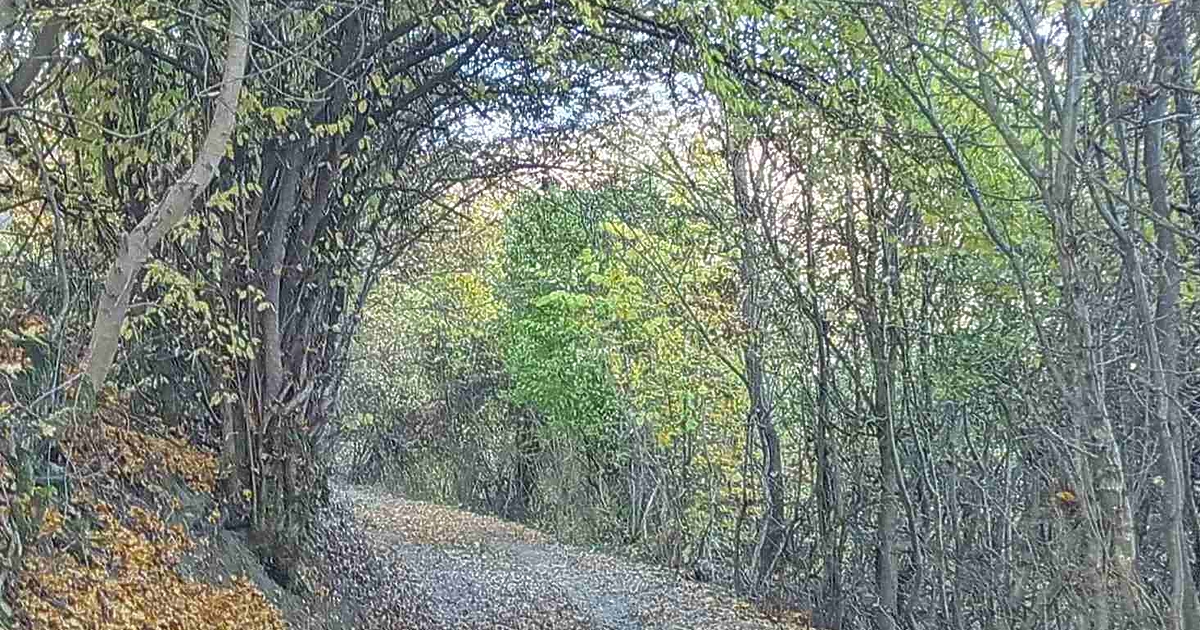 В сряда ще бъде предимно слънчево. Следобед отново над Западна
