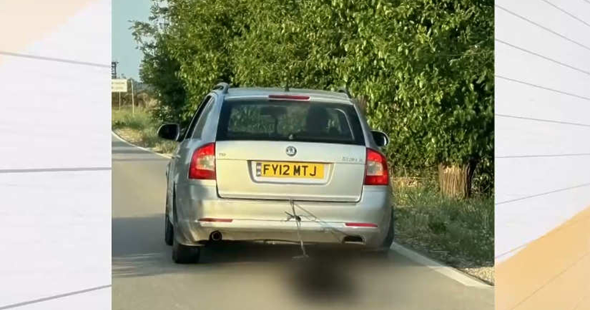 65-годишен въж е обвинен, че е влачил куче, вързано за