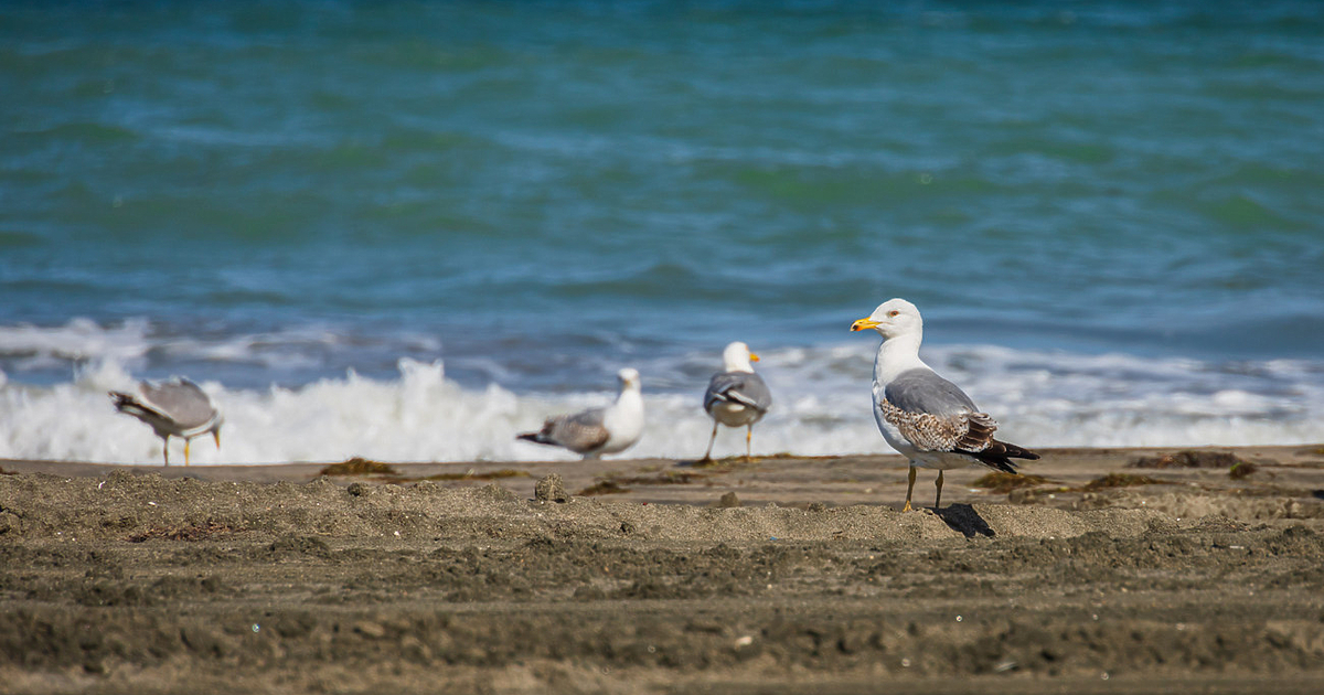 Очаква ни хубаво, слънчево и топло време, с топла морска