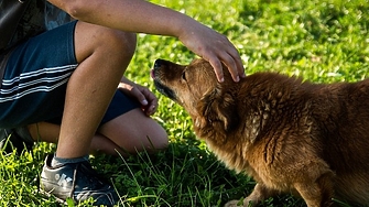 Европейският парламент прие проект на регламент за първи общи правила за