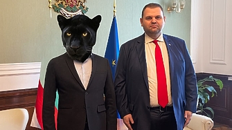 Вече повече от два дни около Шумен броди мистериозна пума