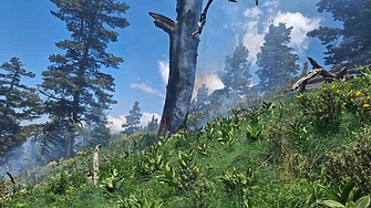 Възникнал е пожар в горски територии на 2000 метра надморска