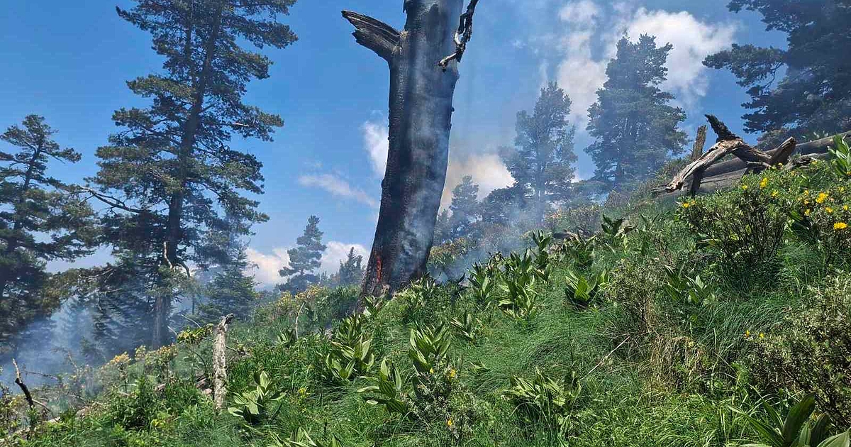 Възникнал е пожар в горски територии на 2000 метра надморска