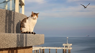 Днес ще бъде предимно слънчево с временни увеличения на облачността Следобед над