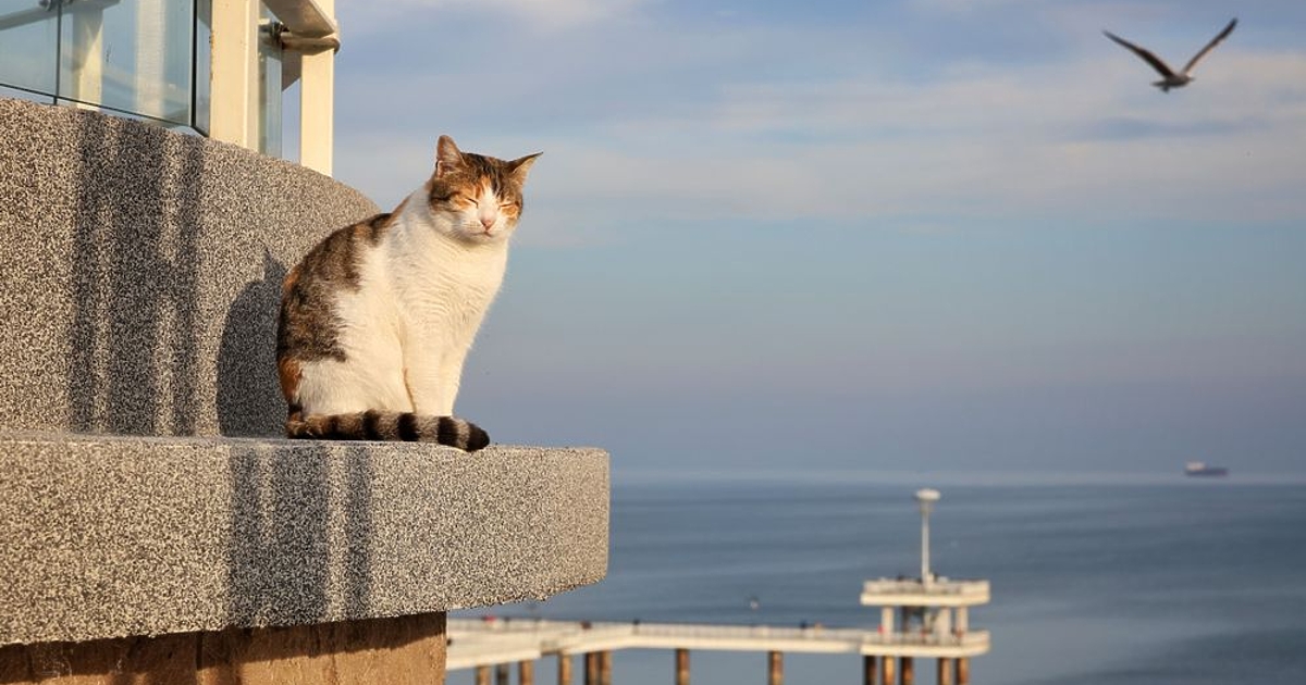 Днес ще бъде предимно слънчево, с временни увеличения на облачността. Следобед над
