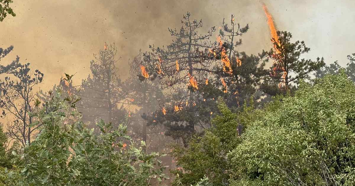 Горските пожари са една от най-големите заплахи за българската природа,