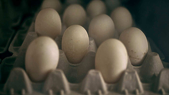 Европейският съюз ще увеличи квотите за внос на някои чувствителни