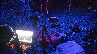 Ново изследване показва че хроничното излагане на изкуствена светлина през