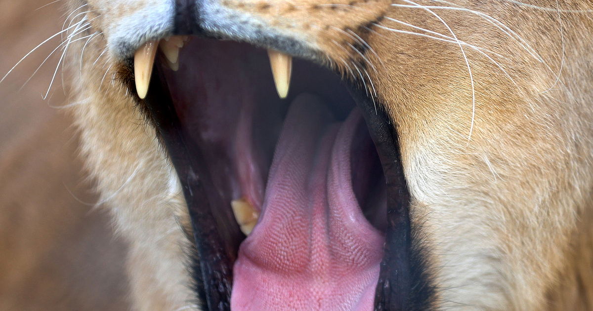 Двама районни кметове и още толкова общински съветници обявиха, че