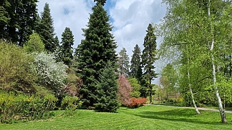 Областният управител на София Стефан Арсов отново се опитва да