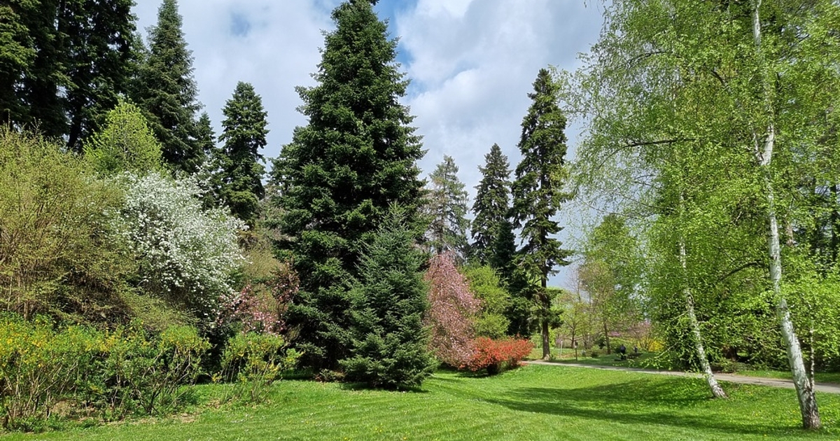 Областният управител на София Стефан Арсов отново се опитва да