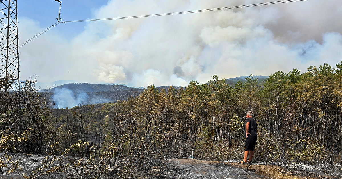 Дългоочакваният дъжд в Пирин заваля. Надеждите са, че ще бъде