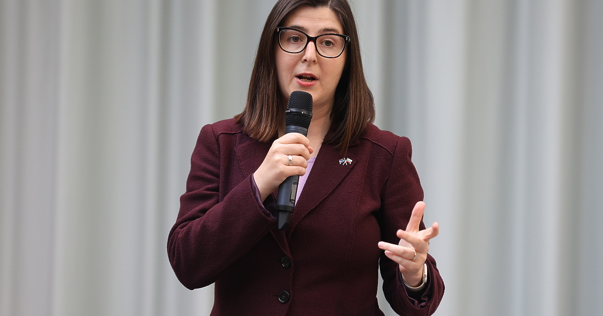 Една от трите дами, издигнати за бъдещ заместник-омбудсман, предположи, че