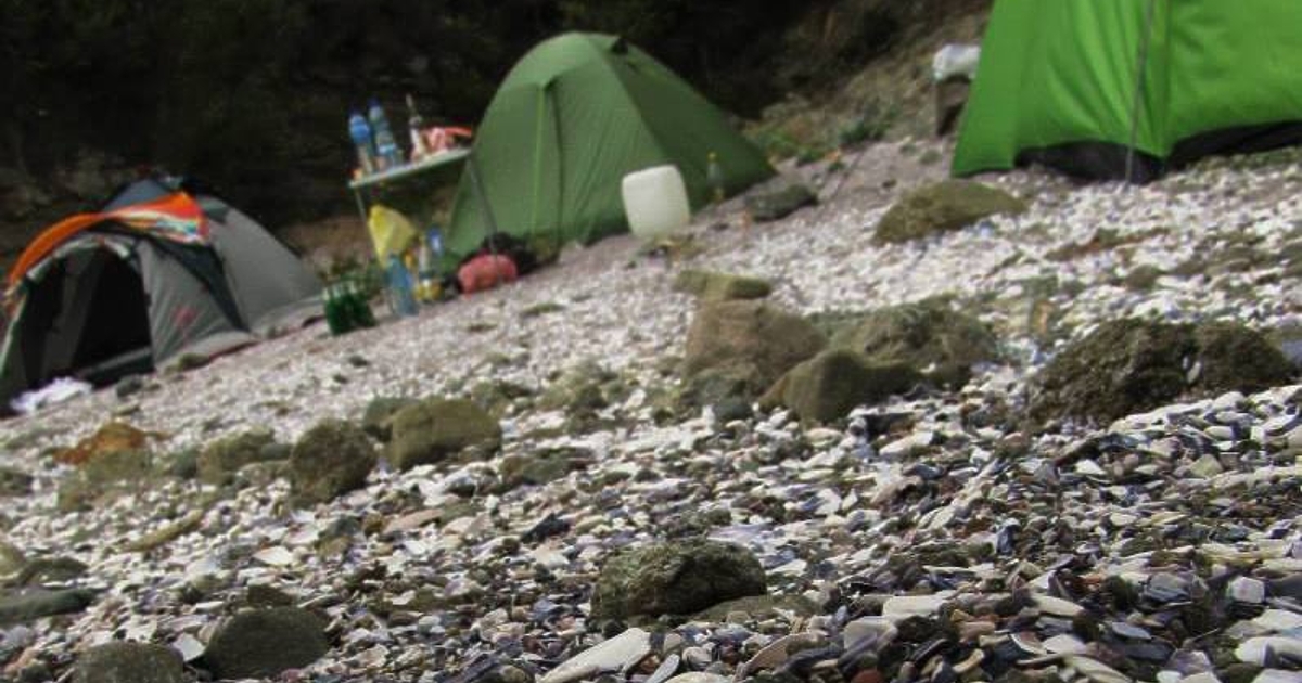 Няма да си дадем морето. Предстои най-големият градски къмпинг. Като