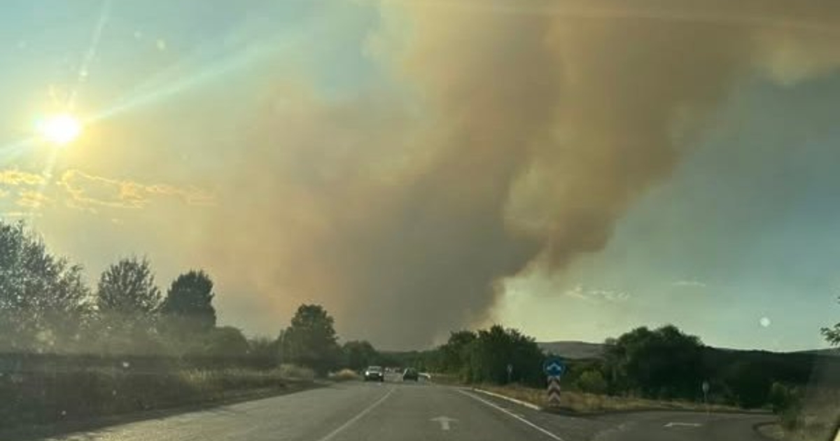 През последните 24 часа в България са регистрирани над 40