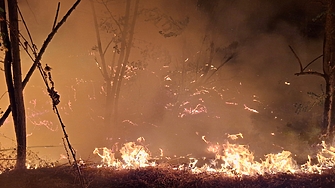 Пожарите в землището на село Илинденци в района на Трънско