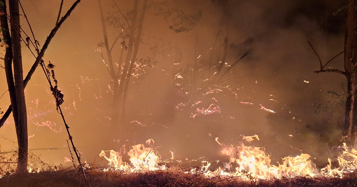 Пожарите в землището на село Илинденци, в района на Трънско,